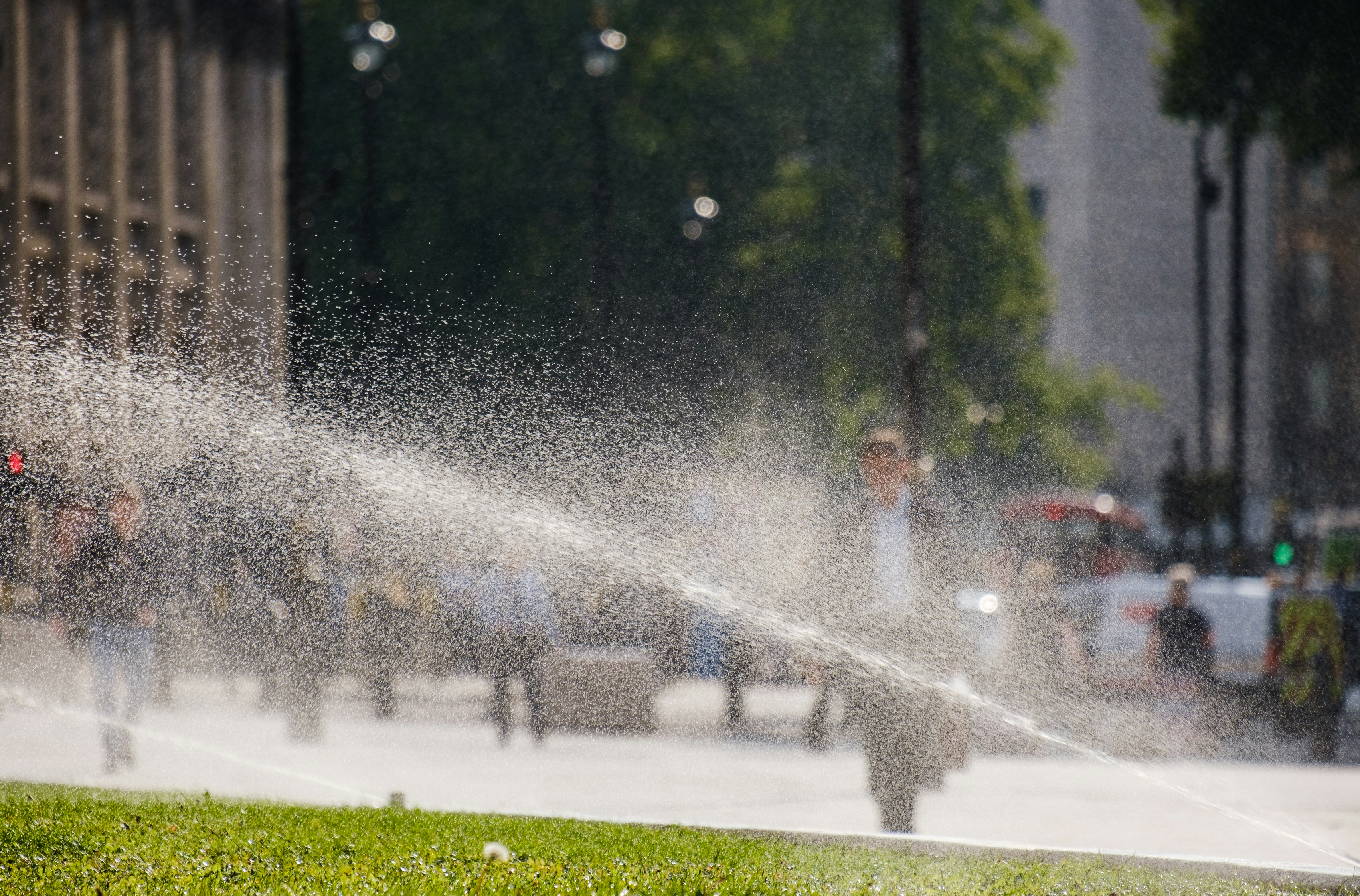 Photo by grievek1610begur