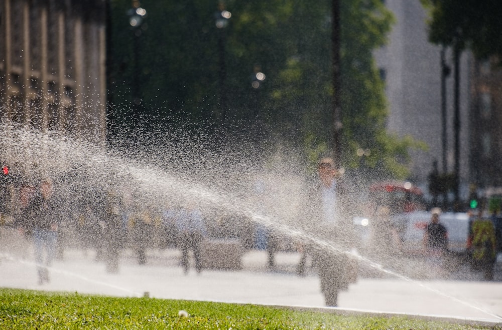 water fountain on green grass field during daytime