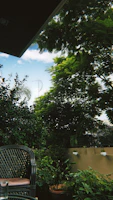 An outdoor patio scene showing a set of rattan chairs and a coffee table surrounded by lush greenery.