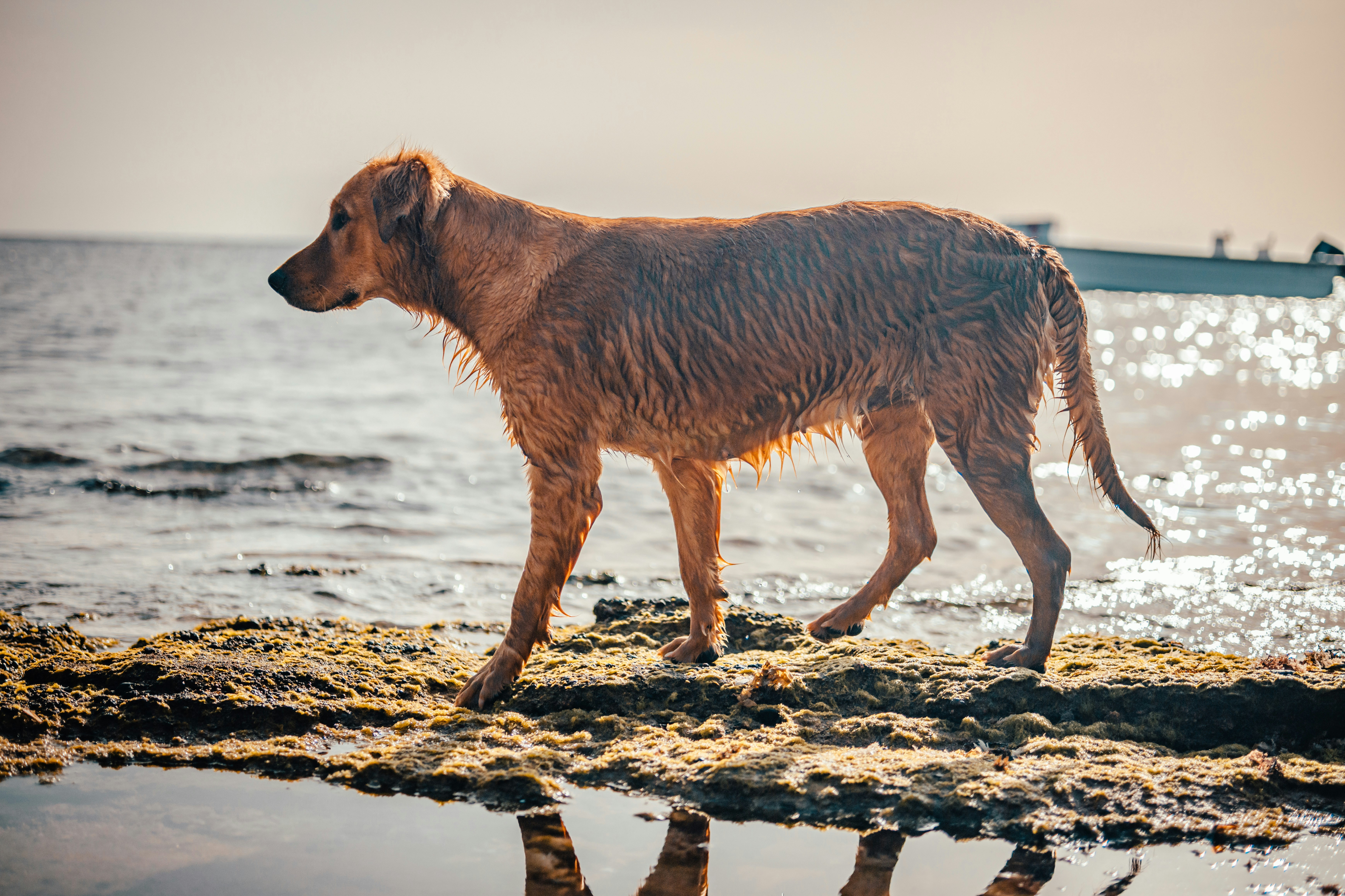 Photo by raimondklavins