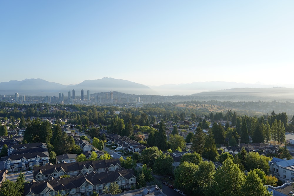 green trees and city buildings during daytime