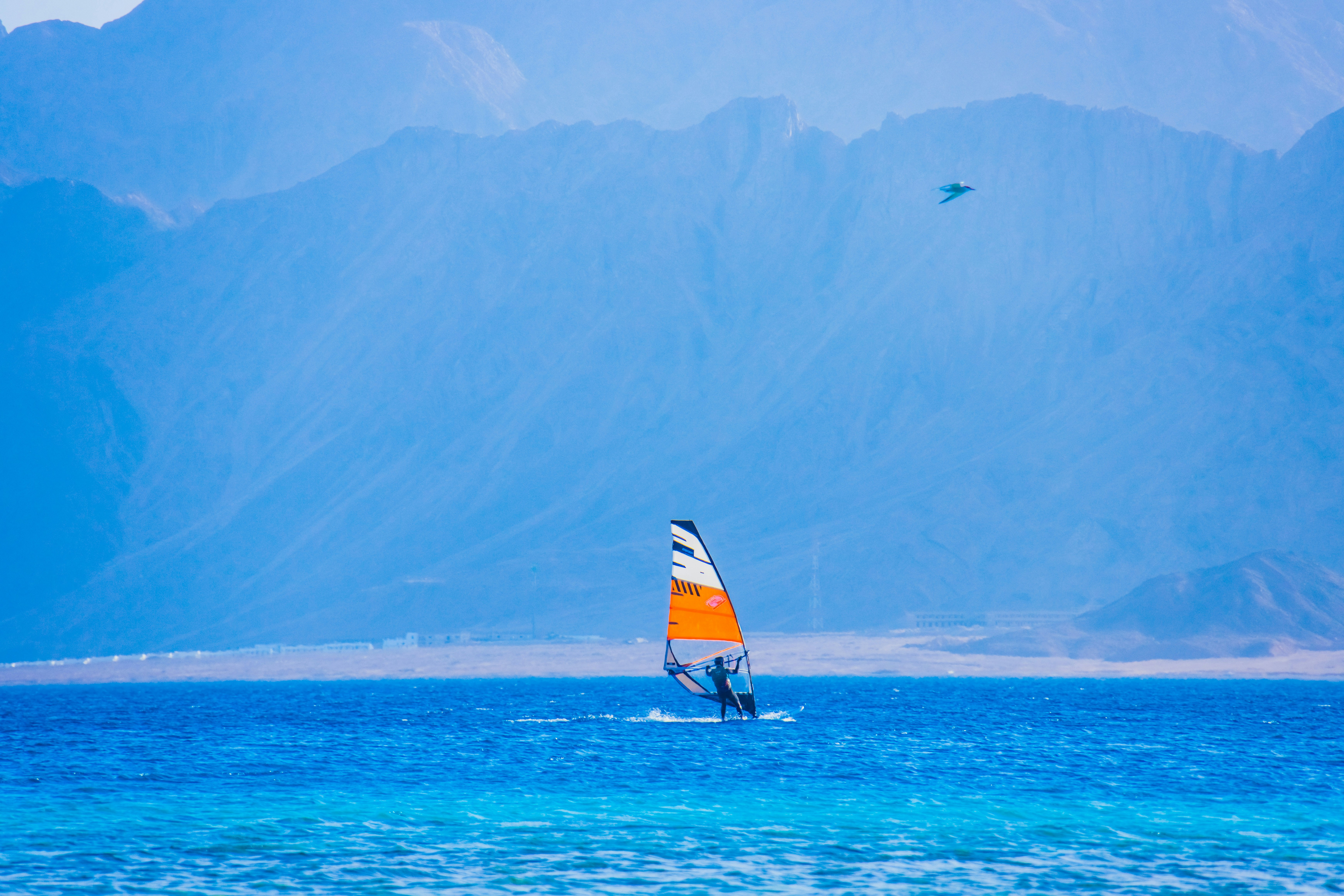 Photo by raimondklavins