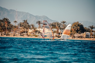 Two windsurfers glide on the blue sea with a backdrop of a sandy beach lined with palm trees and thatched sun umbrellas. In the distance, there is a mountainous landscape under a clear sky.