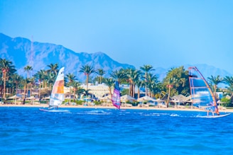 people on beach during daytime