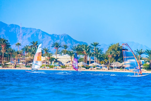 people on beach during daytime