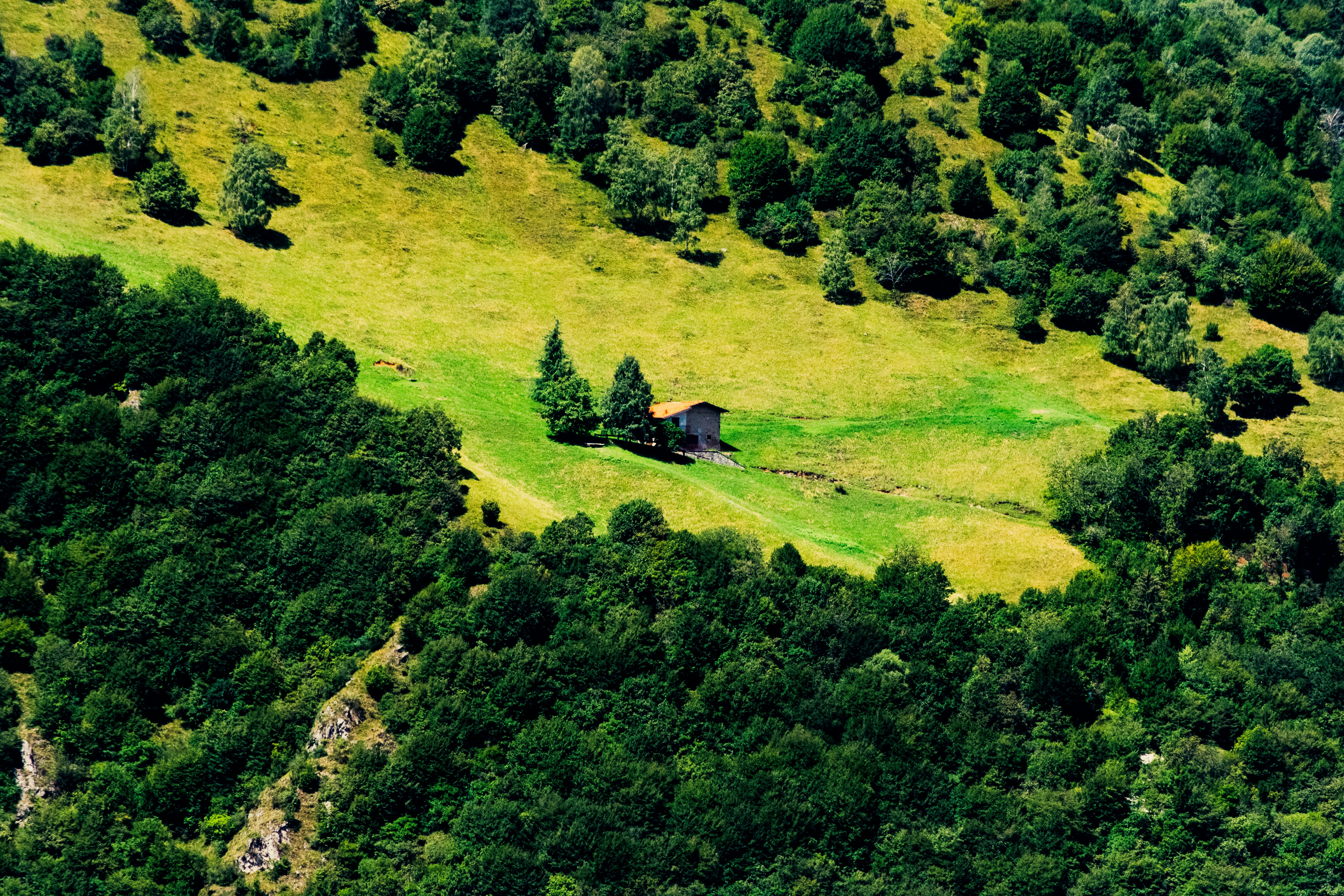 black house on green grass field