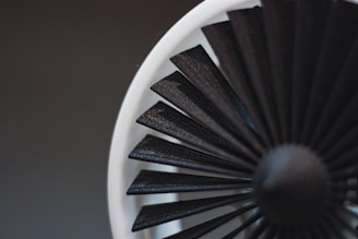 A close-up image of a fan blade assembly, likely from a turbine or a model jet engine. The blades are arranged in a circular pattern, with a combination of black and white colors. The background is blurred, focusing attention on the detailed texture and geometric design of the blades.