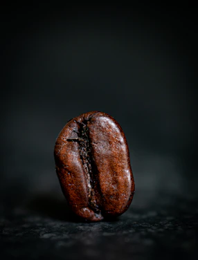 brown seed on black surface