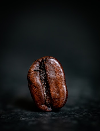 brown seed on black surface