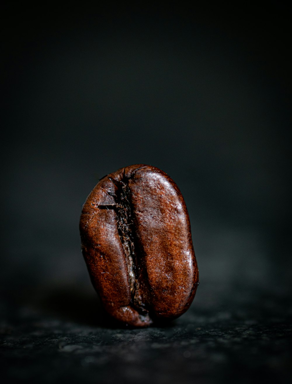 brown seed on black surface