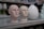 Two sculpted head busts with minimalist features are displayed on a metal shelf. The busts have a textured surface, one in a pinkish hue and the other in cream, positioned near a glossy, rounded white ceramic object and a light blue abstract sculpture. The setting appears to be a store or showroom display.