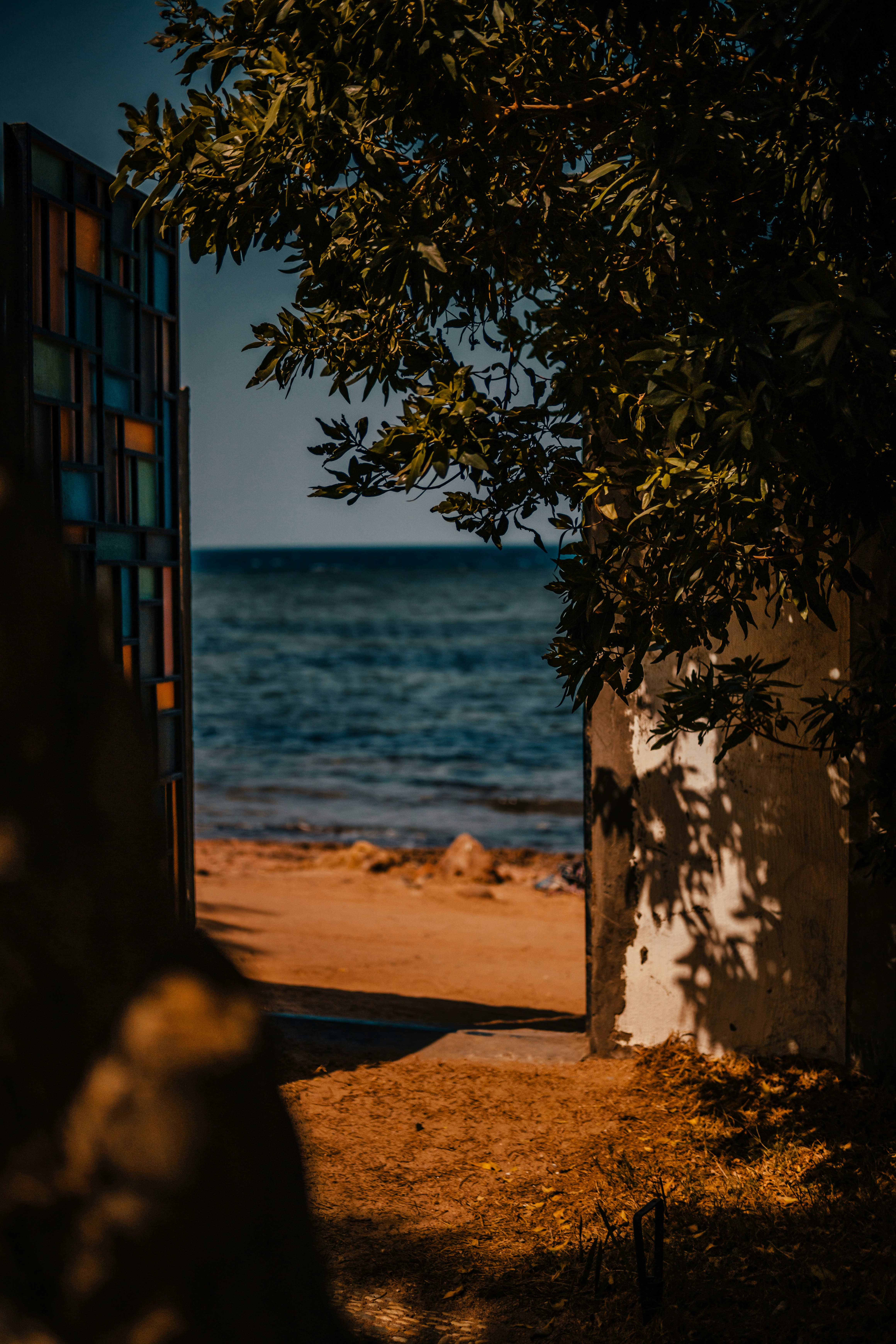 Photo by raimondklavins