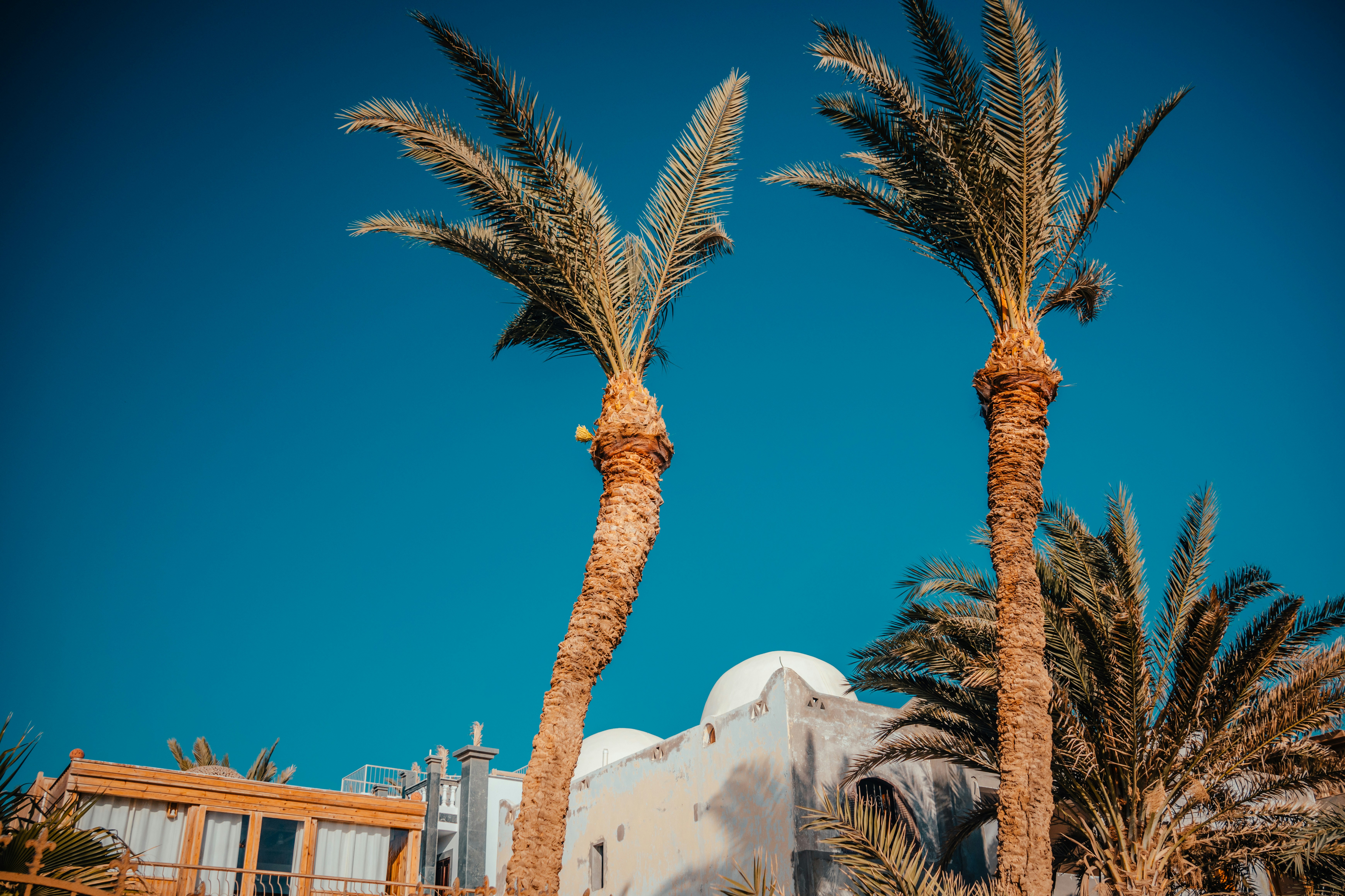 Photo by raimondklavins