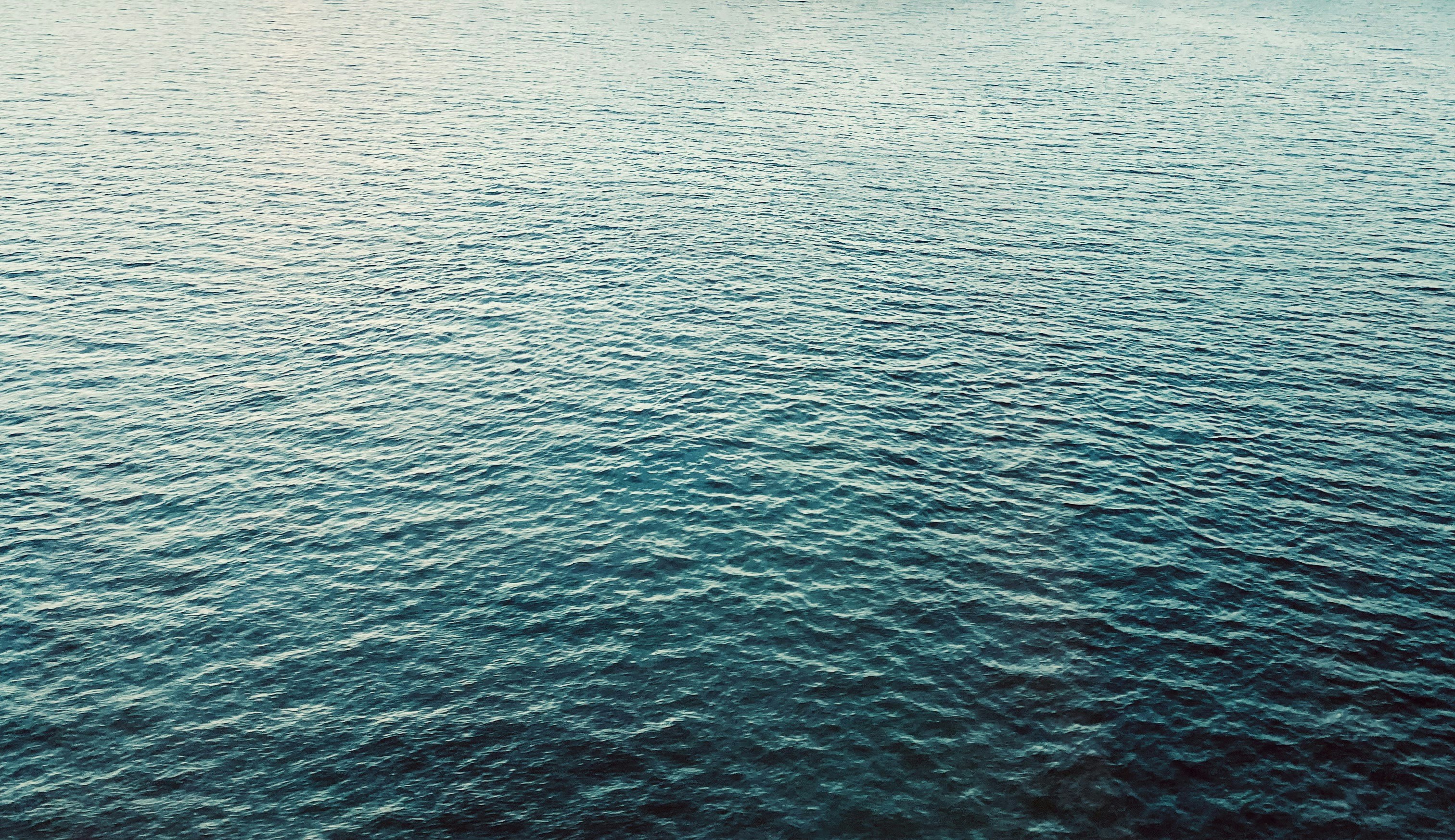 Photo by rachelyoon12