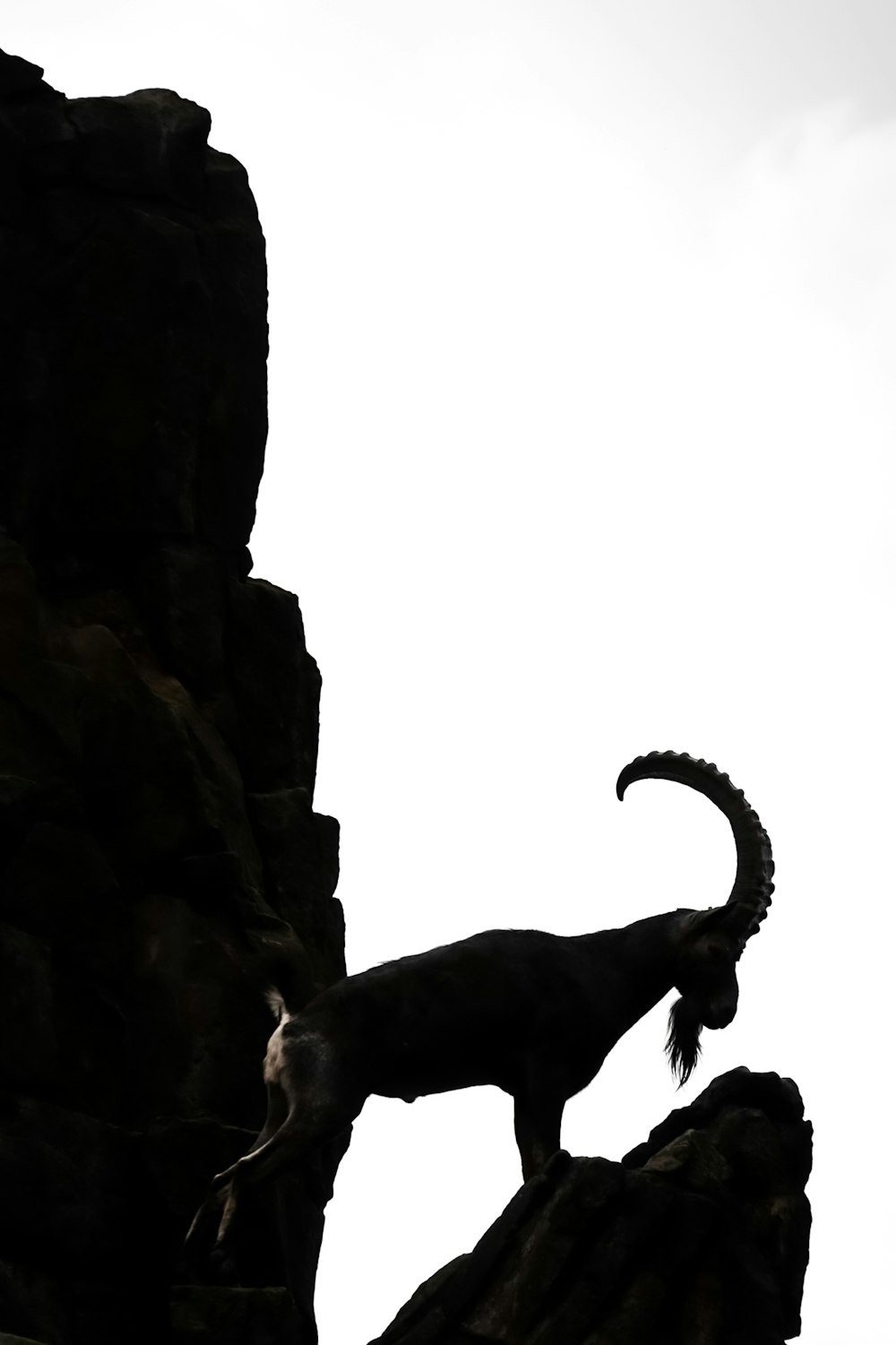 a goat standing on top of a rocky cliff