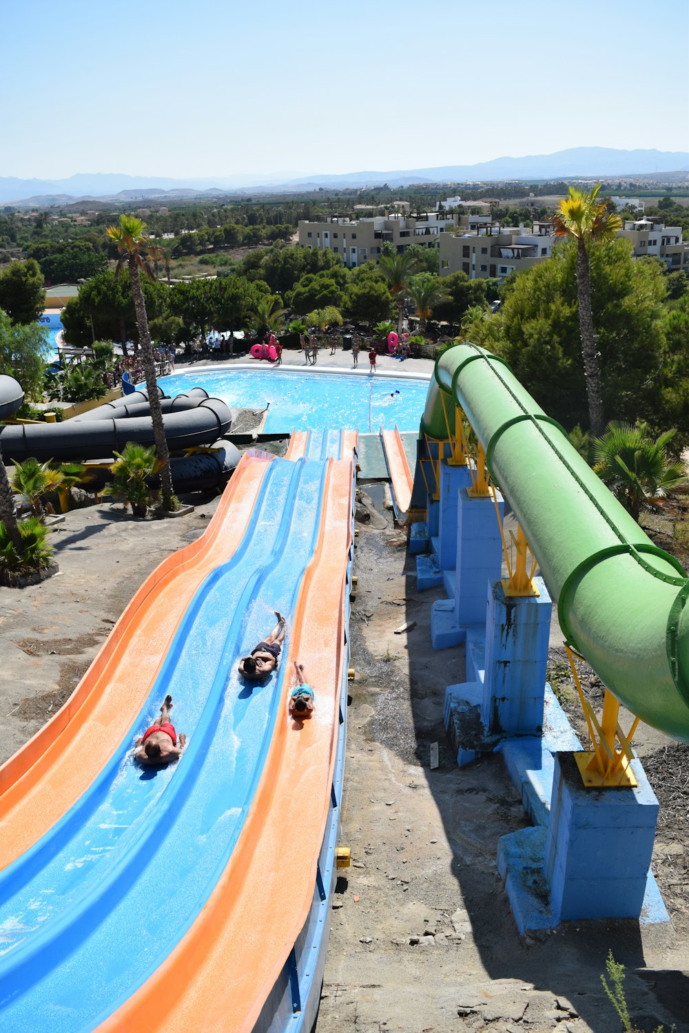 people swimming on pool during daytime