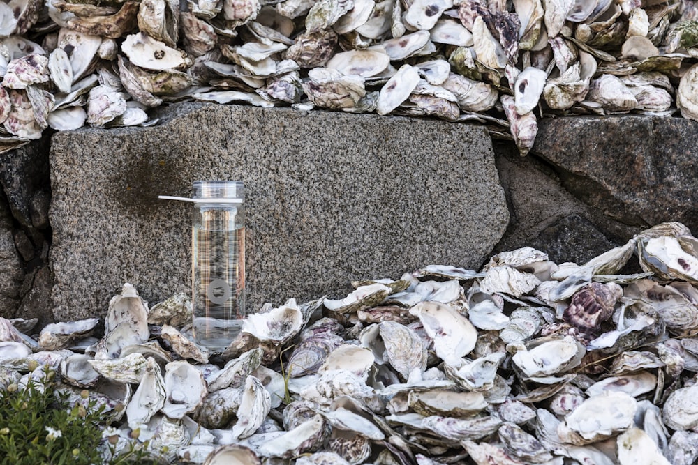 clear plastic bottle on gray and white stones