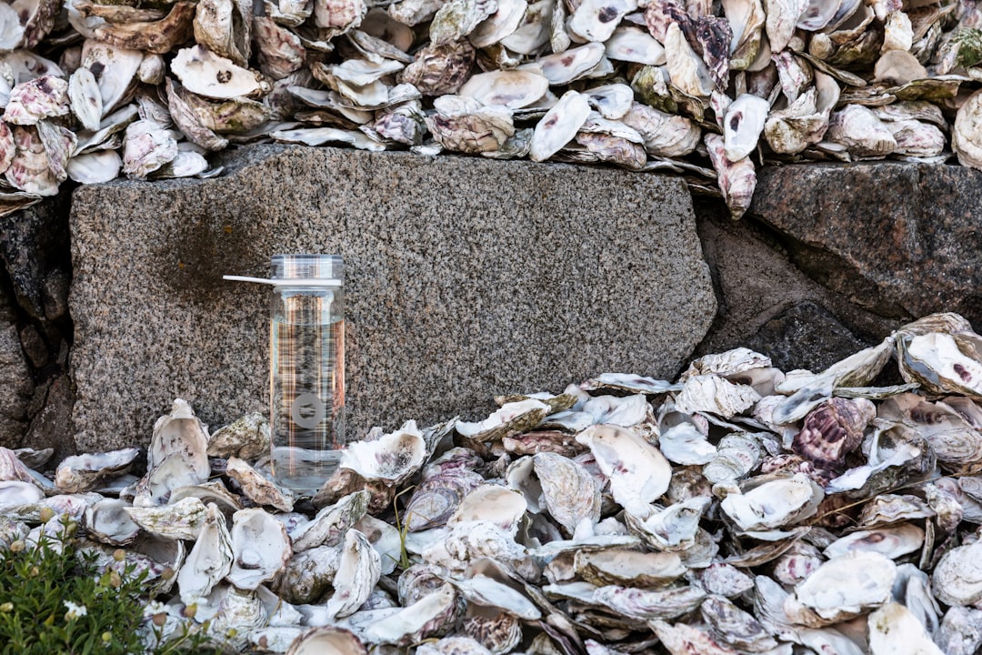 clear plastic bottle on gray and white stones