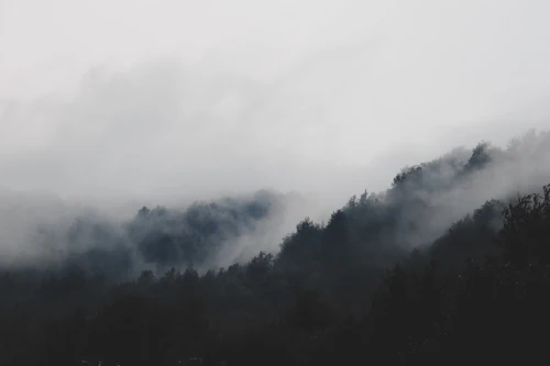 Versant boisé sombre sous un plafond de nuages bas