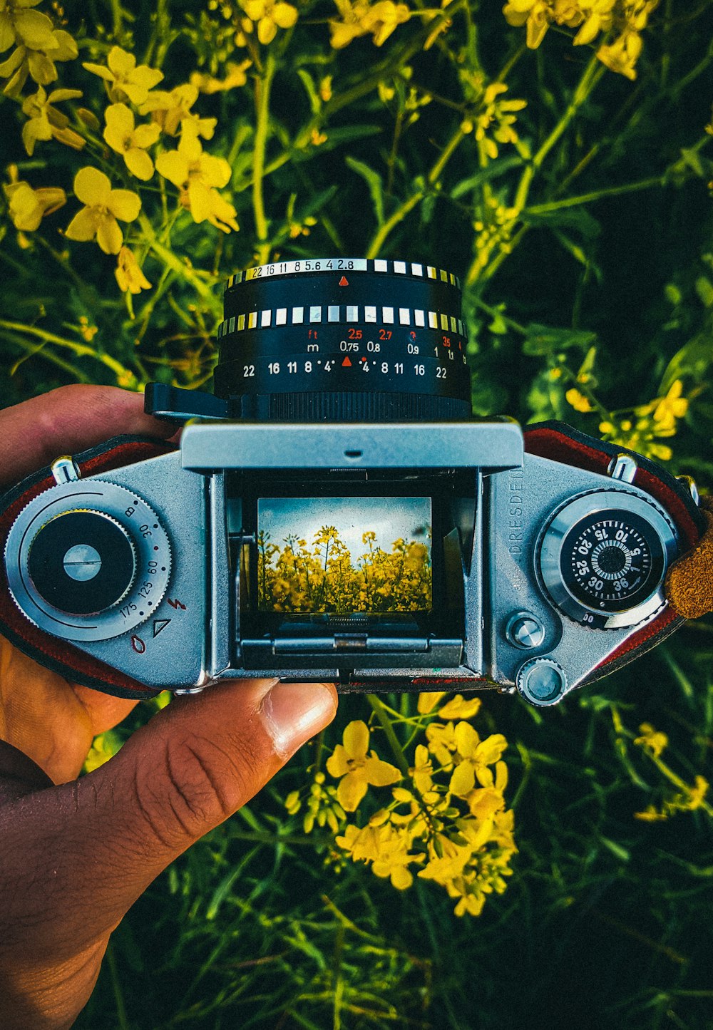 person holding black and silver camera