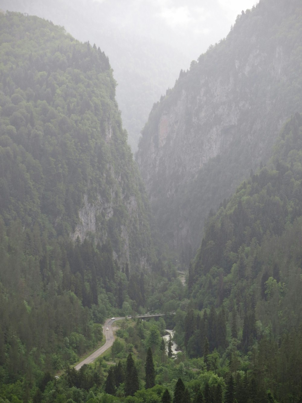 green trees on mountain during daytime