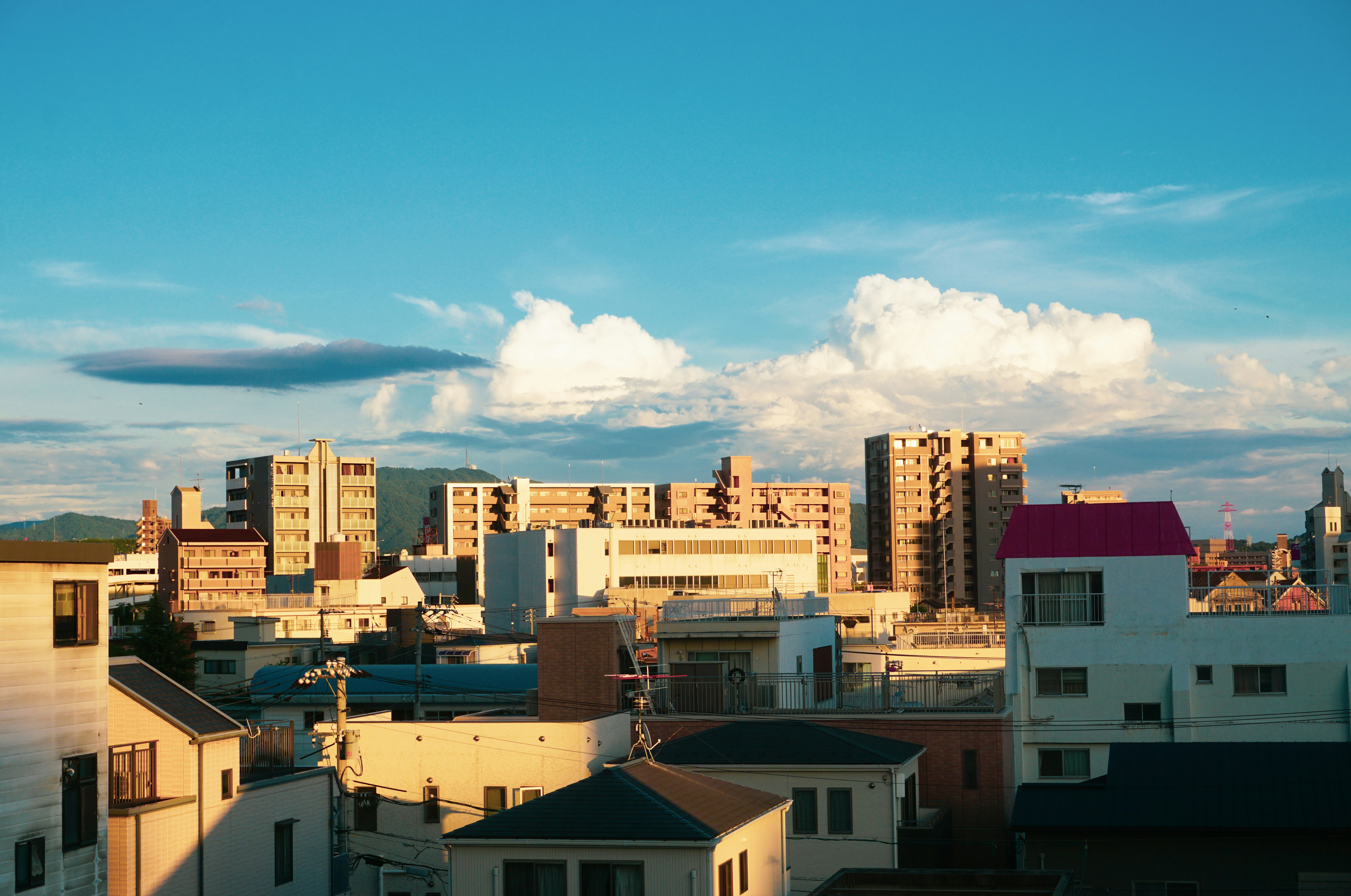 Photo by cosmonaut647