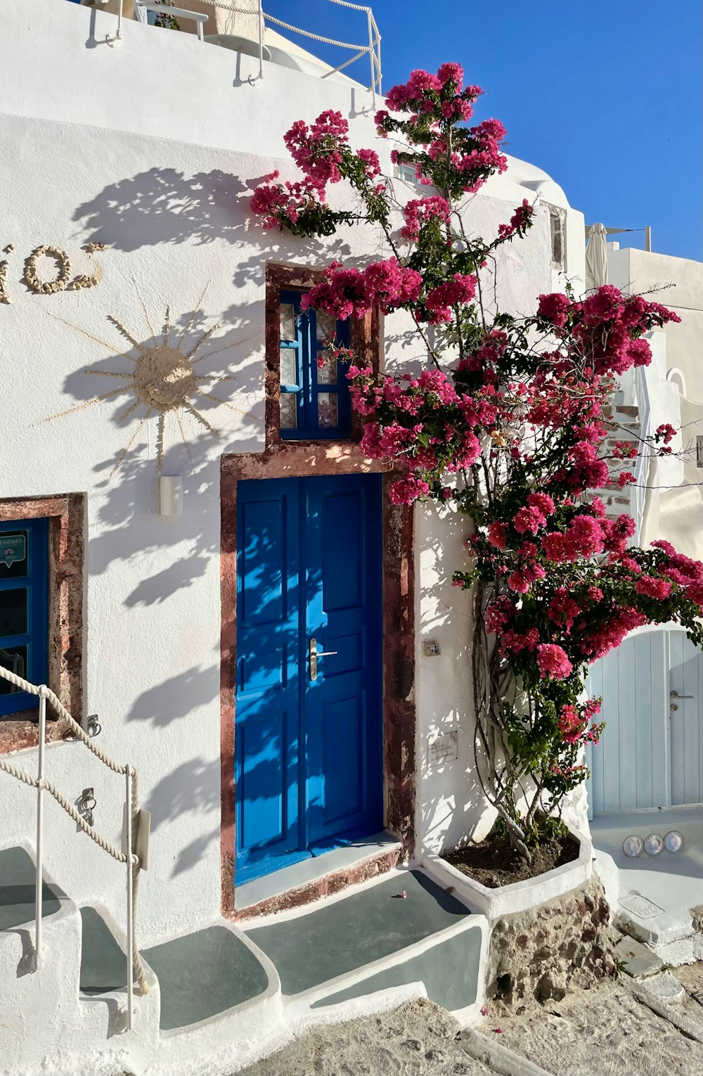 red and pink flowers on blue wooden window