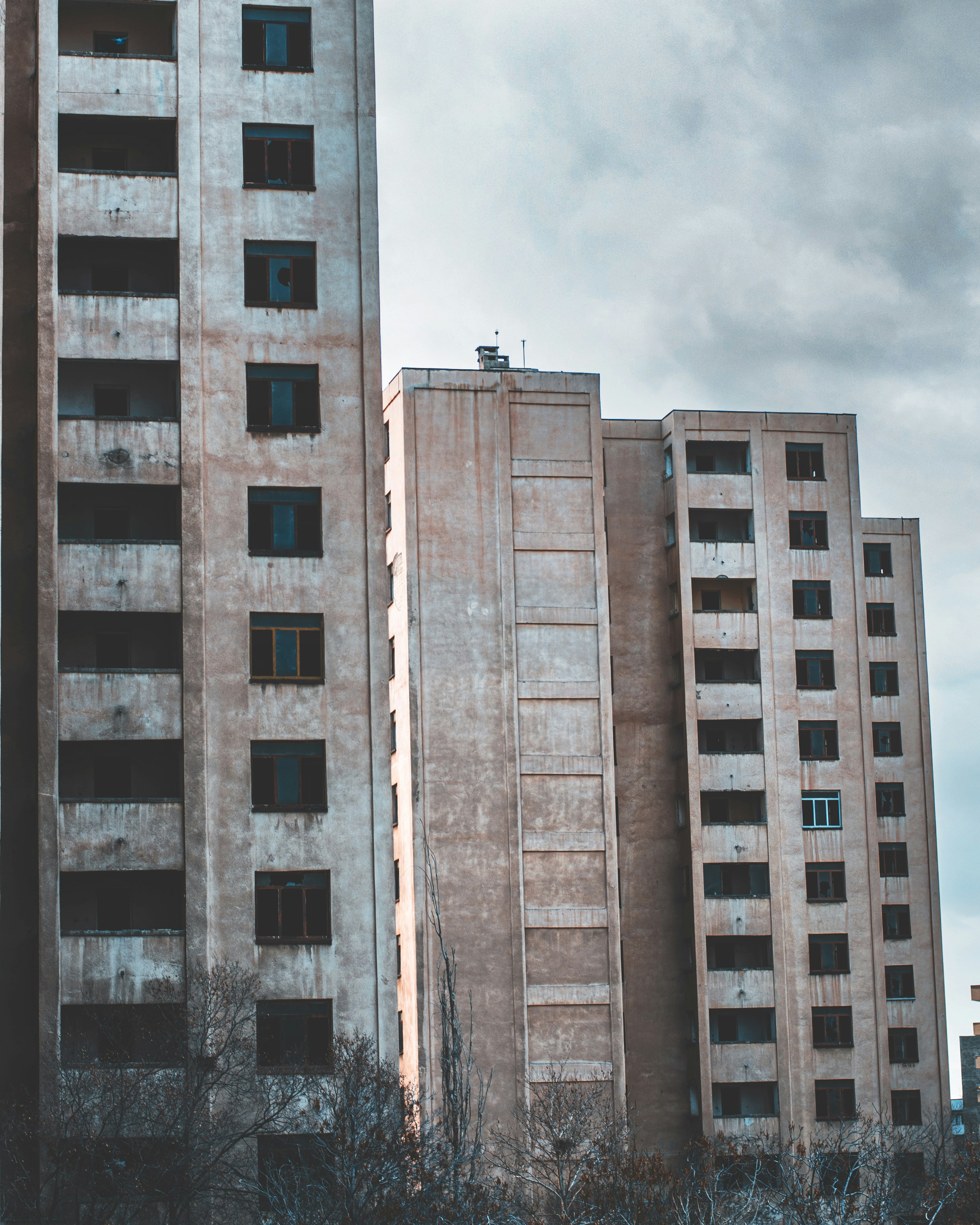 Photo by m_mohammadpour