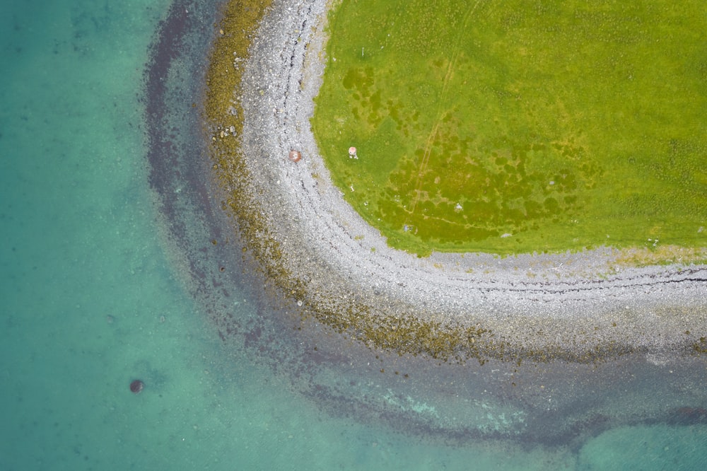 green and brown water in close up photography