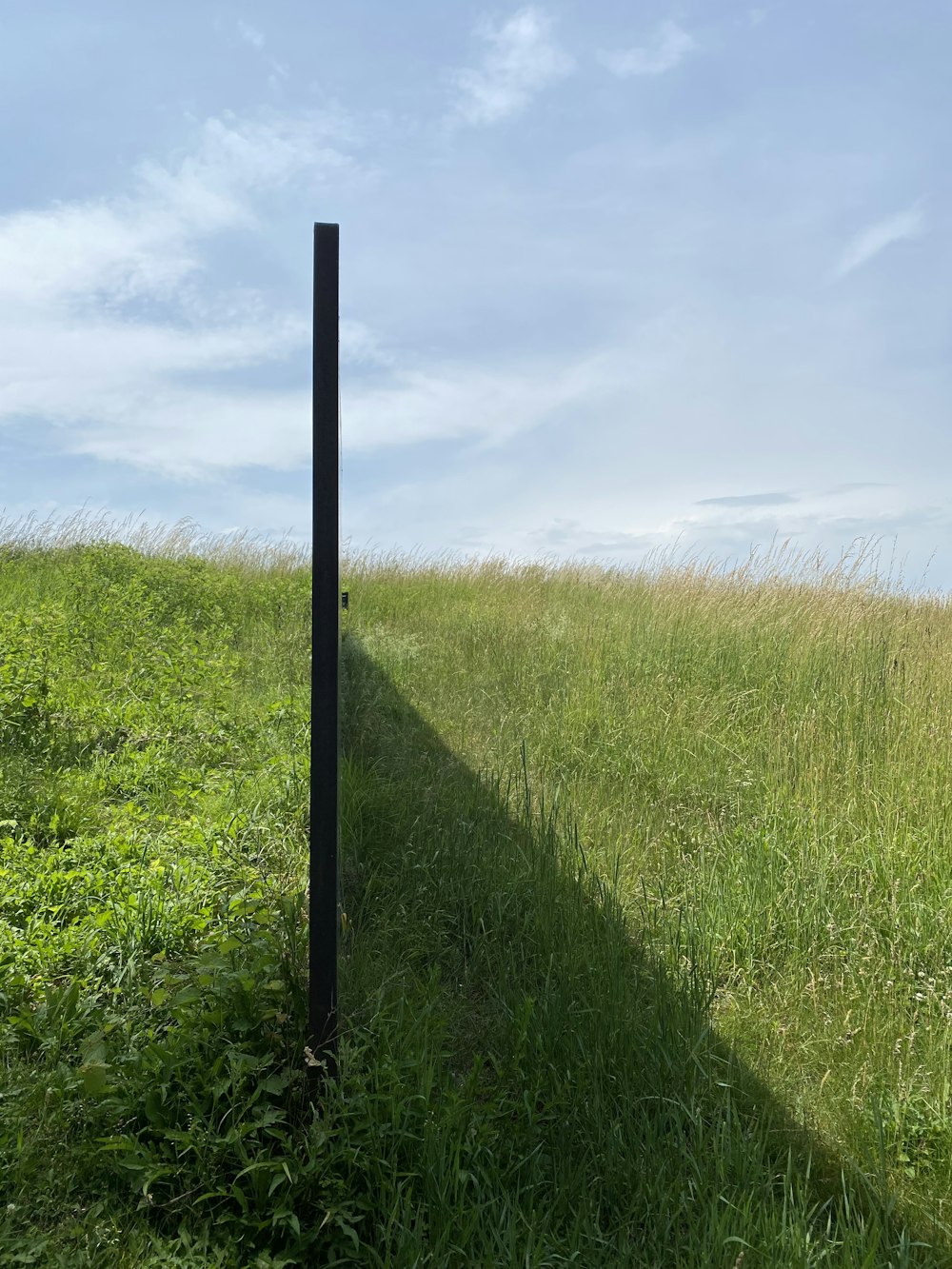 green grass field under blue sky during daytime