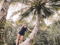 A woman is standing on a sloped palm tree, reaching up towards the coconuts hanging above. She is surrounded by lush green foliage, with sunlight filtering through the leaves, creating a serene and adventurous atmosphere.