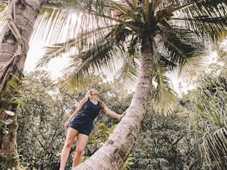 A woman is standing on a sloped palm tree, reaching up towards the coconuts hanging above. She is surrounded by lush green foliage, with sunlight filtering through the leaves, creating a serene and adventurous atmosphere.