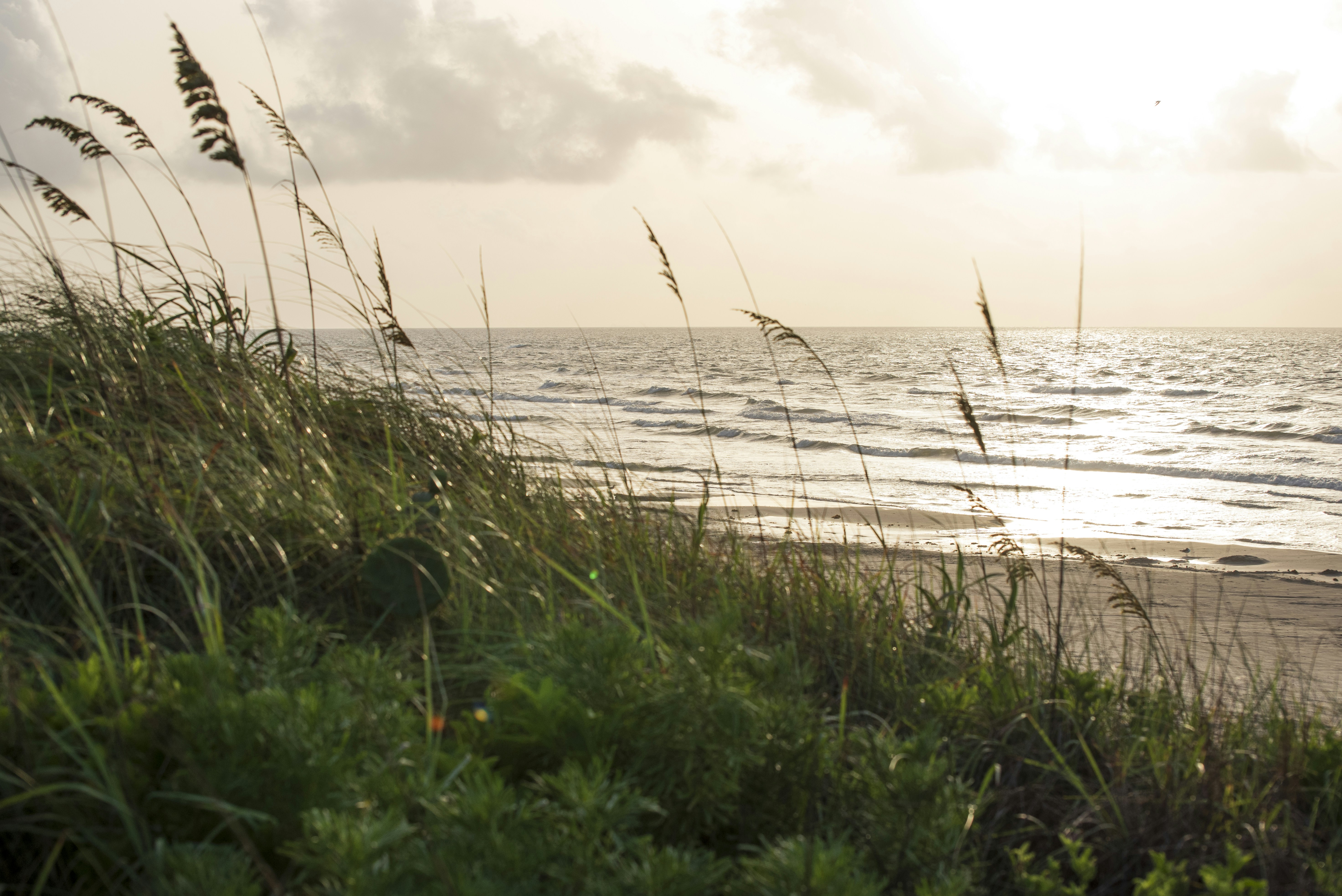 The Ultimate 'Happy Guest' Checklist: Furnishing Your NPI Rental for 5-Star Success