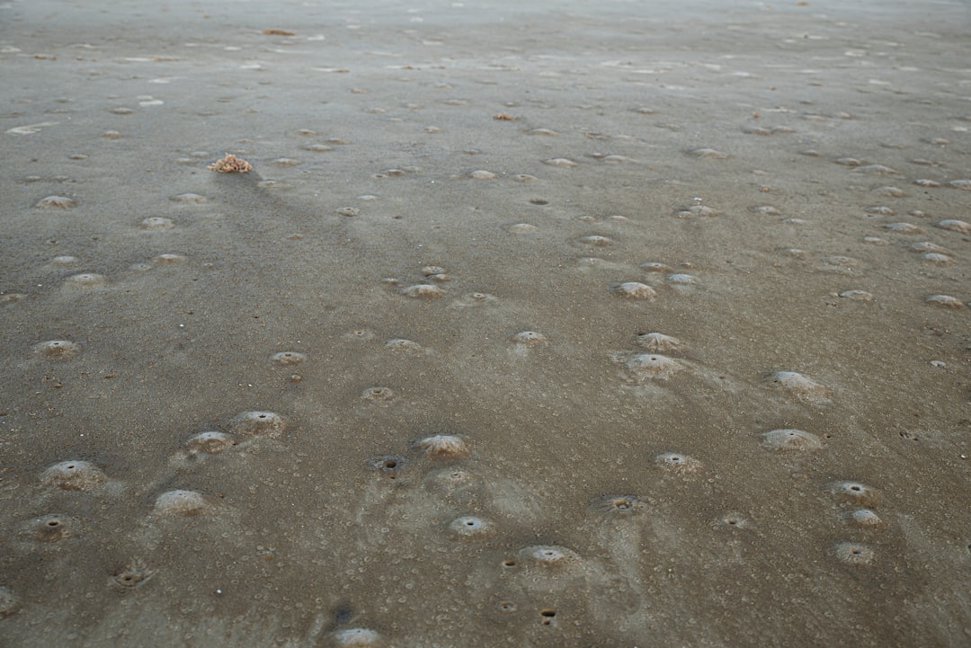 brown and white stones on beach during daytime