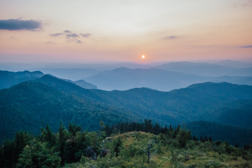 일몰 동안 산에 푸른 나무