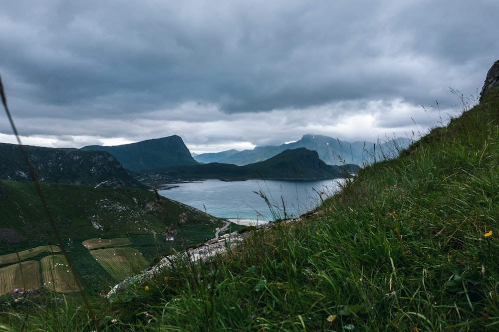 green grass field near body of water under cloudy sky during daytime