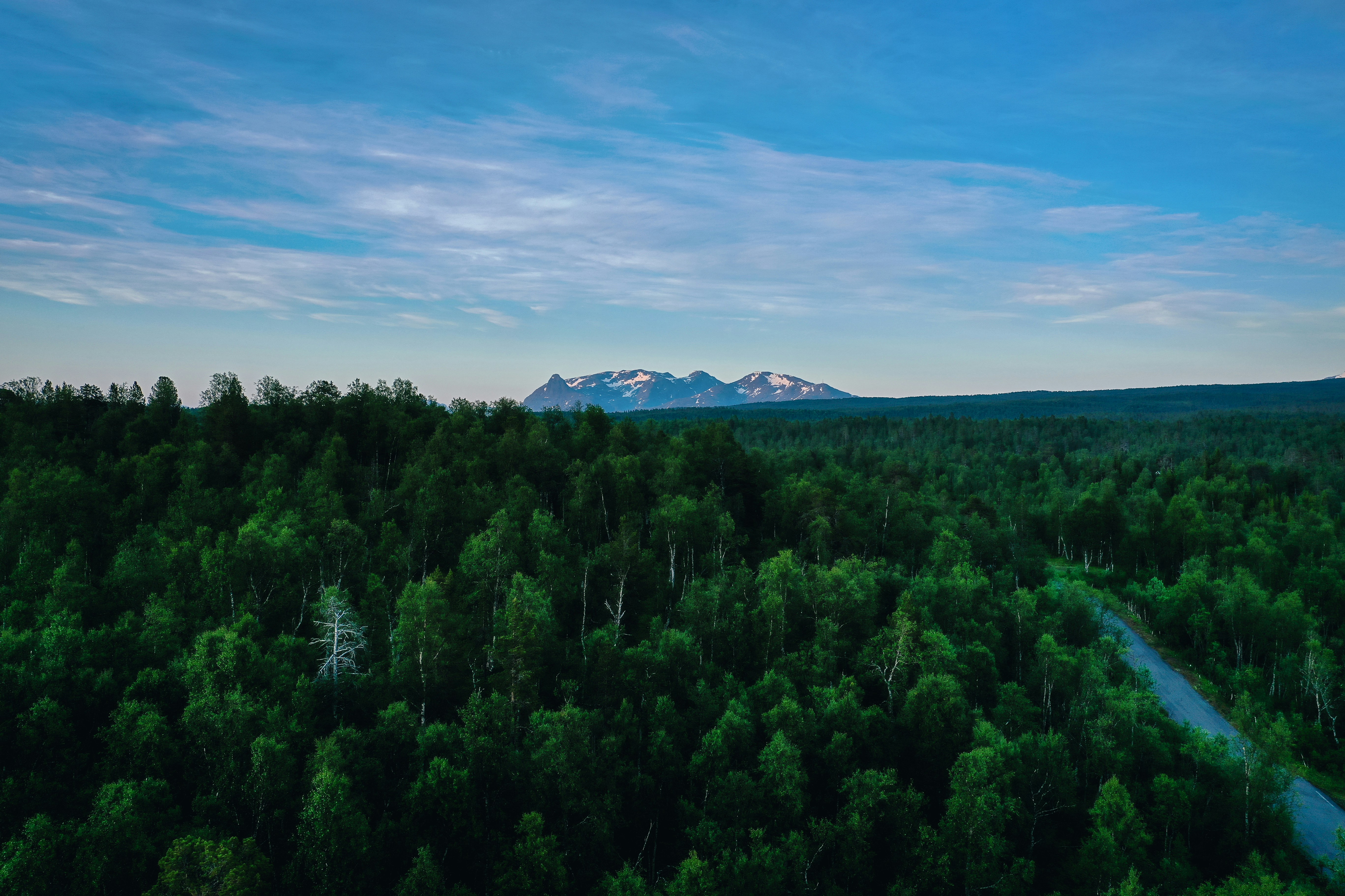 green trees near mountain under blue sky during daytime
