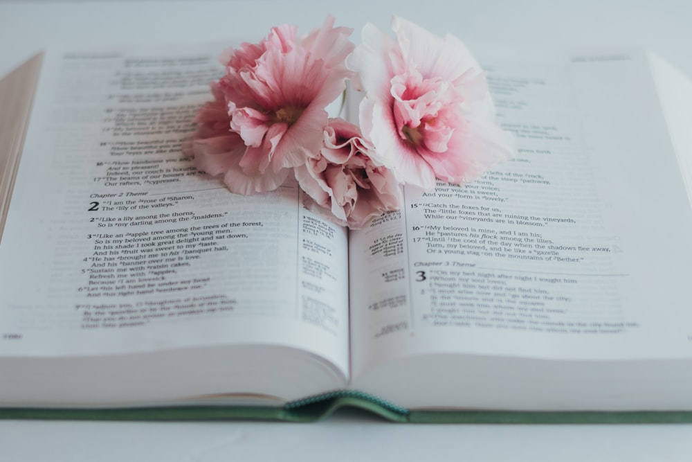 pink flower on book page