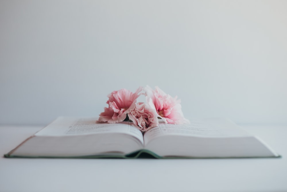 open book on white table