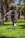 A happy person exercising outdoors, showing vitality and energy.