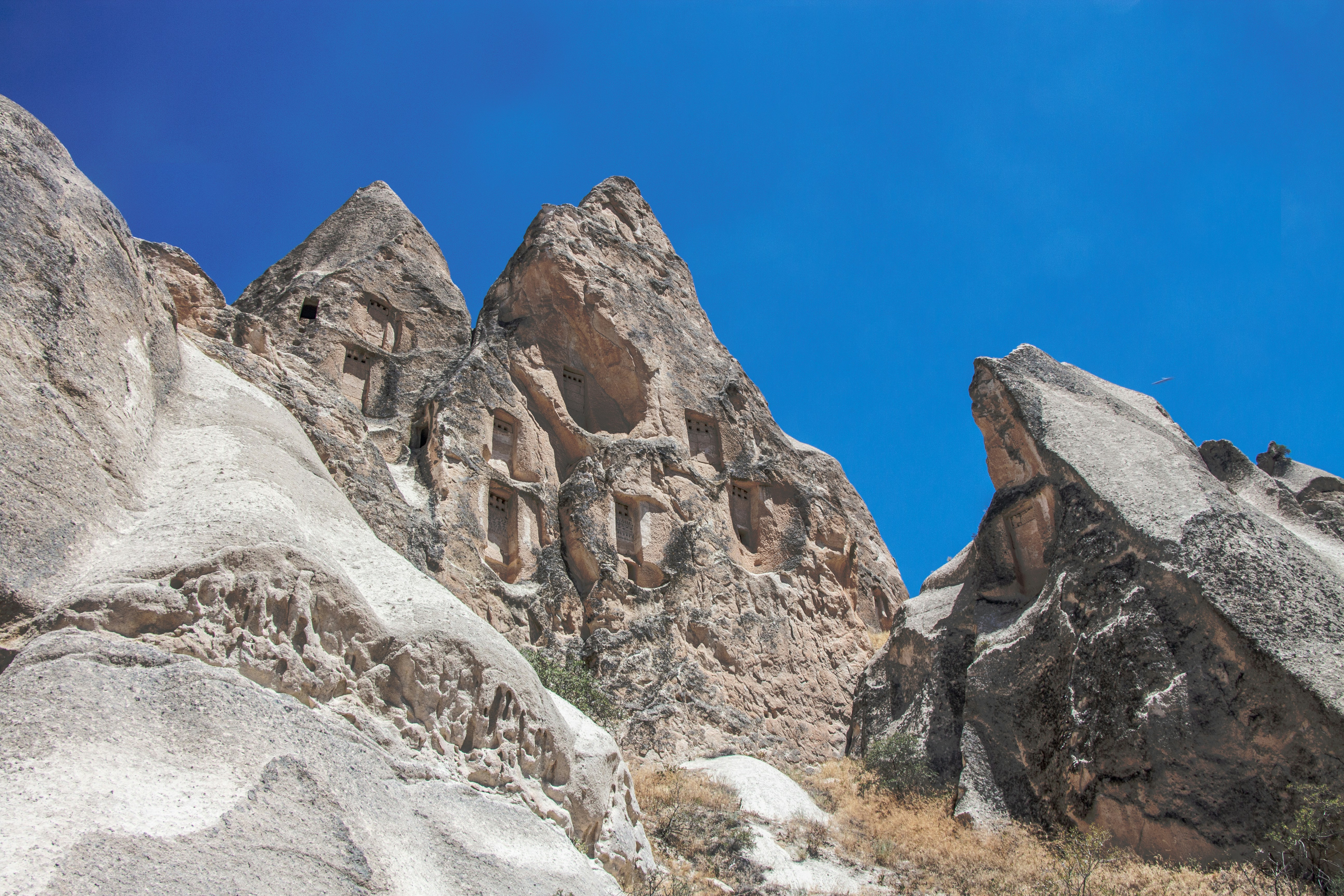 Photo by elleleontiev