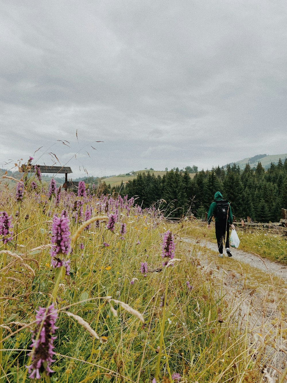 2 people walking on green grass field during daytime