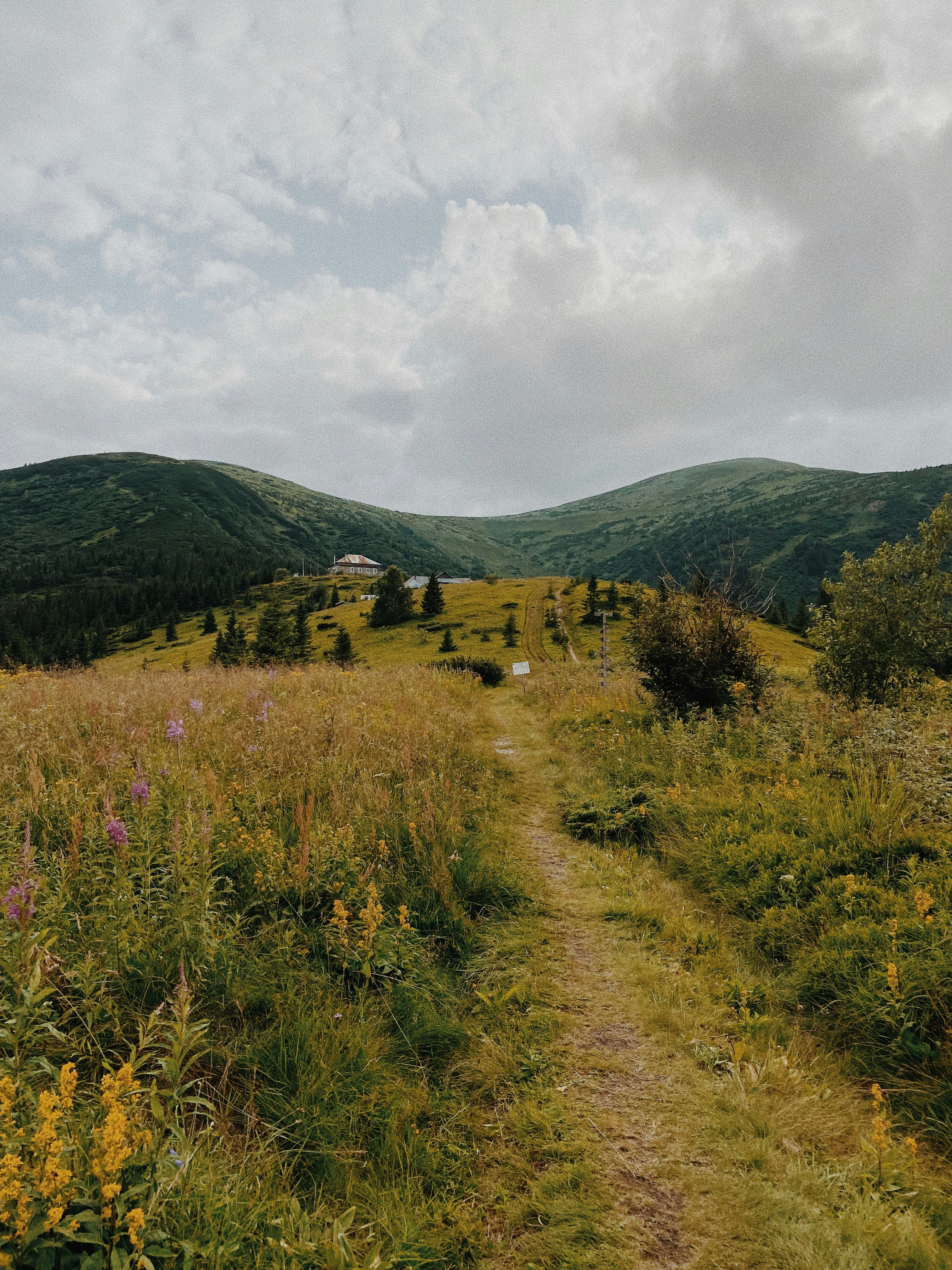 Photo by barashhkova