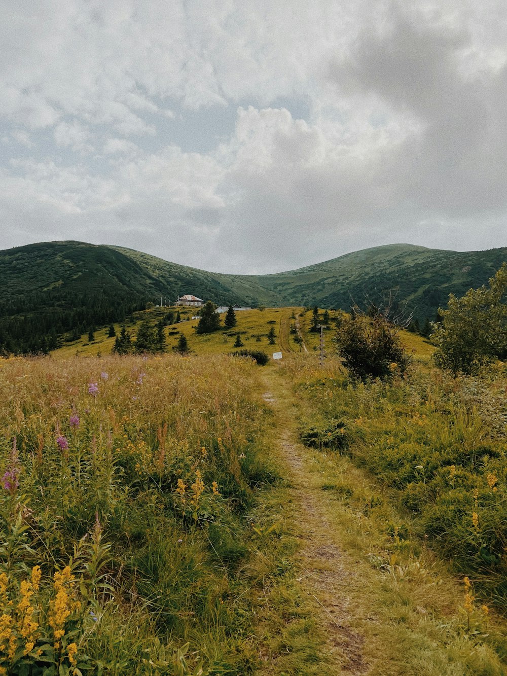 green grass field near mountain under white clouds during daytime