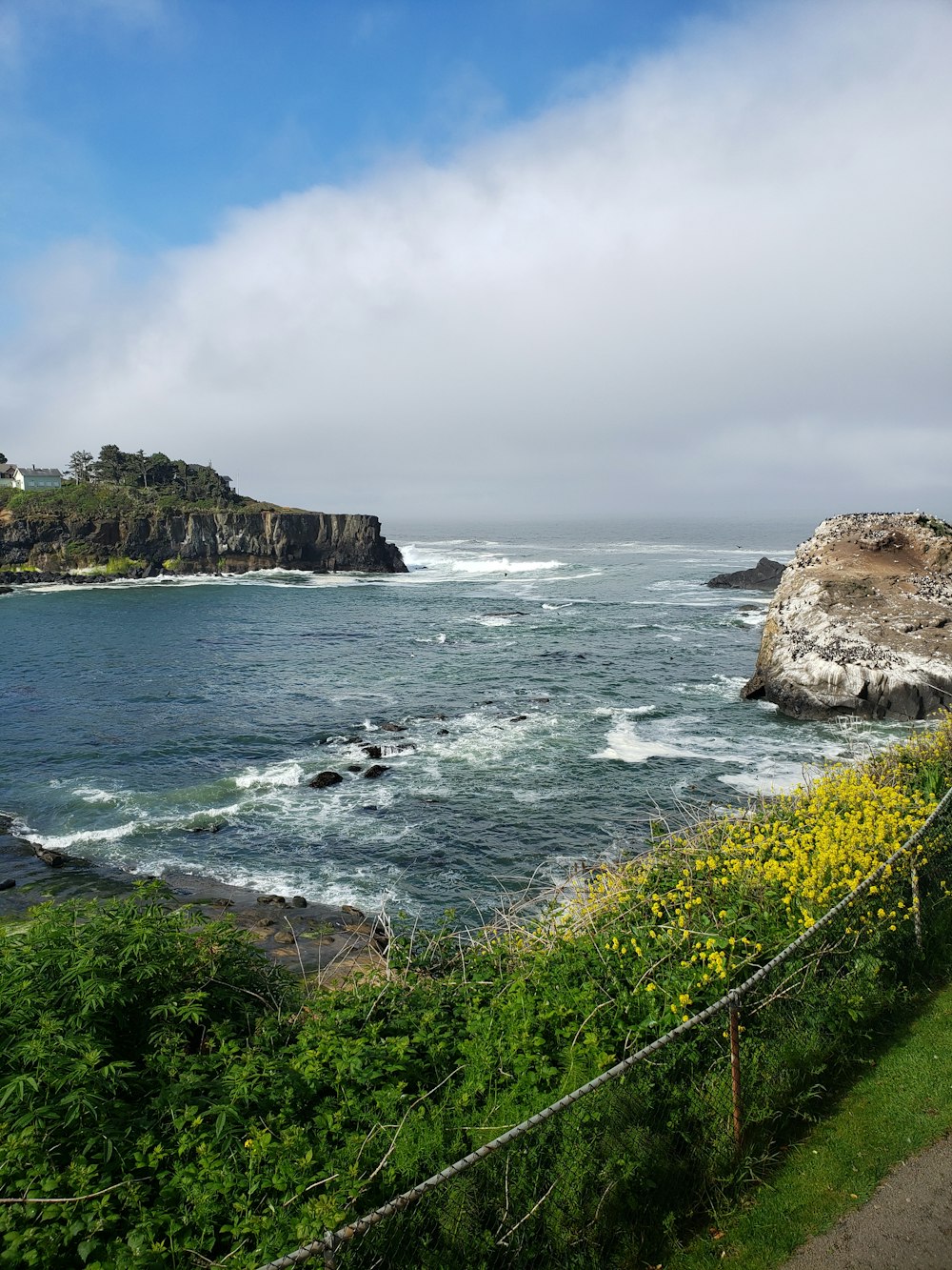 grama verde na montanha rochosa ao lado do mar sob o céu nublado durante o dia