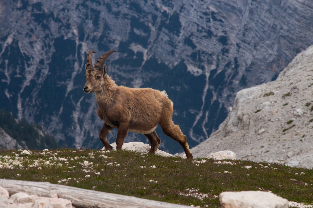 Mountain range photo spot Triglav Slovenia