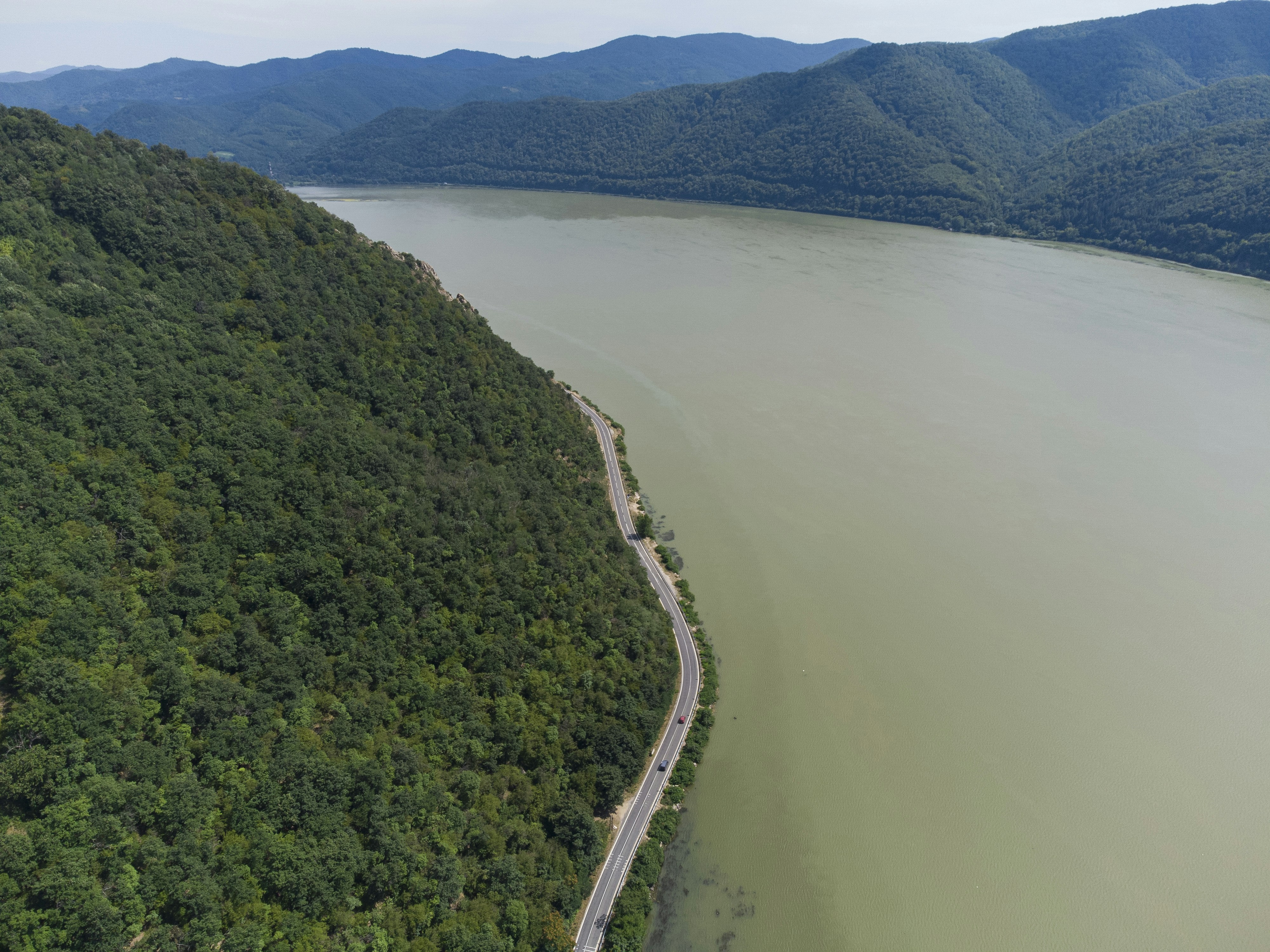 Foto zum Thema Grüne Bäume am Fluss während des Tages Kostenloses
