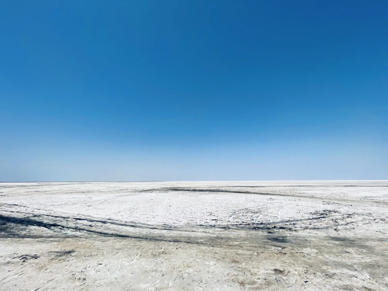 Best Gluten-Free Restaurants and Cafes in Kutch
