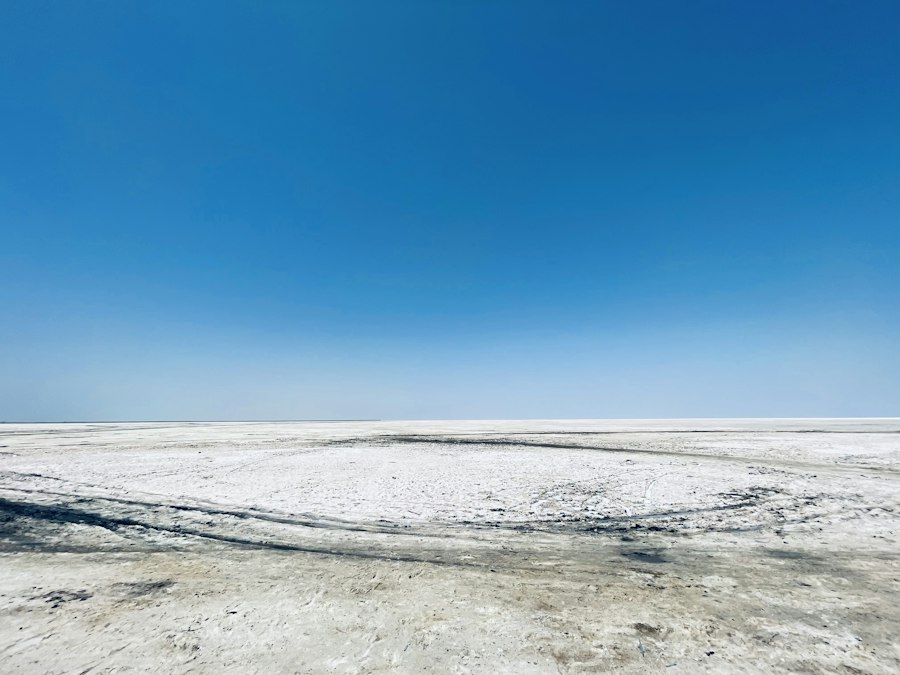 White Rann of Kutch salt desert under a blue sky, where the Rann Utsav tent city opens on 1 November 2026