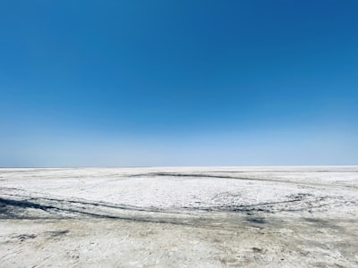 Gujarat Rann of Kutch Asiatic lions Jain temples tour